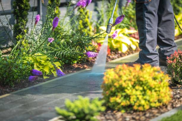 Reliable Mountain Top, PA Pressure Washing Services Solutions